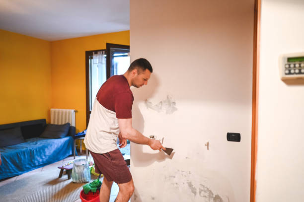 Best Mold Damage Repair  in Belle Chasse, LA